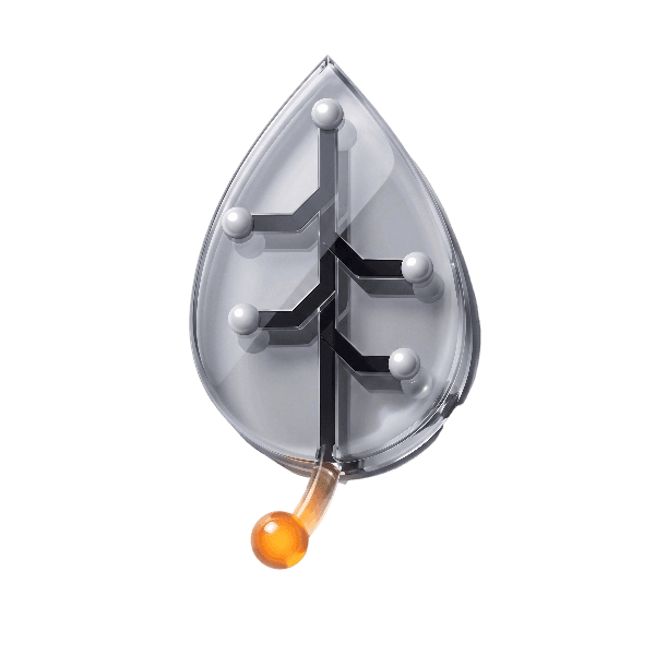 YAPRA Logo